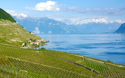 Die Terrassen von Lavaux