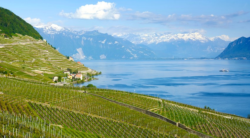 Die Terrassen von Lavaux