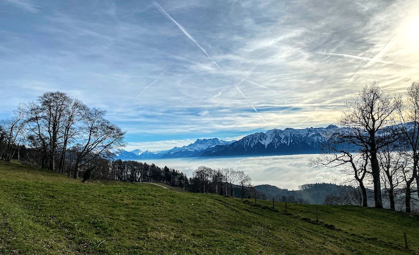 Narzissenweg am Mont Pèlerin